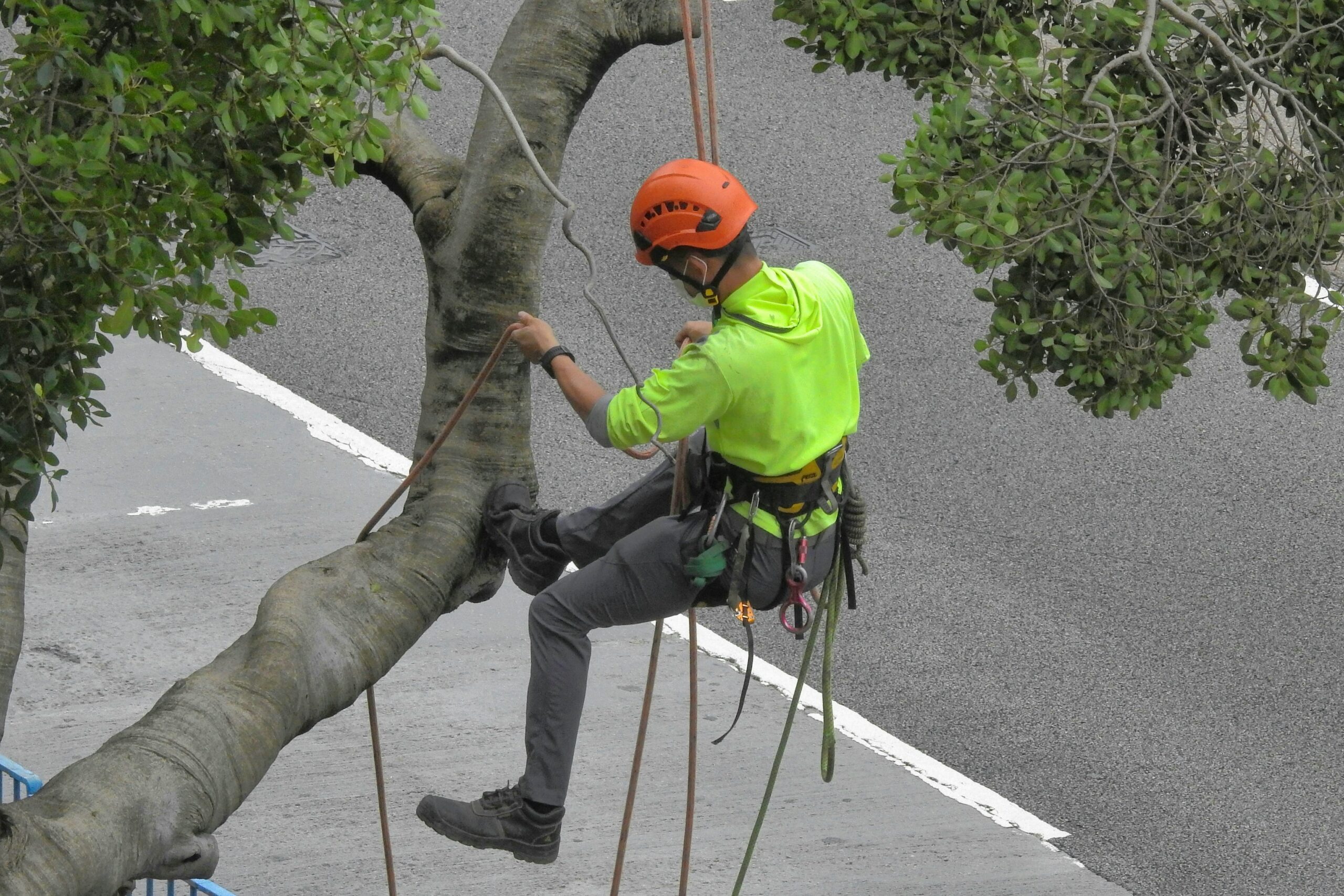 A climber holding a fall arrest device attached to their harness.