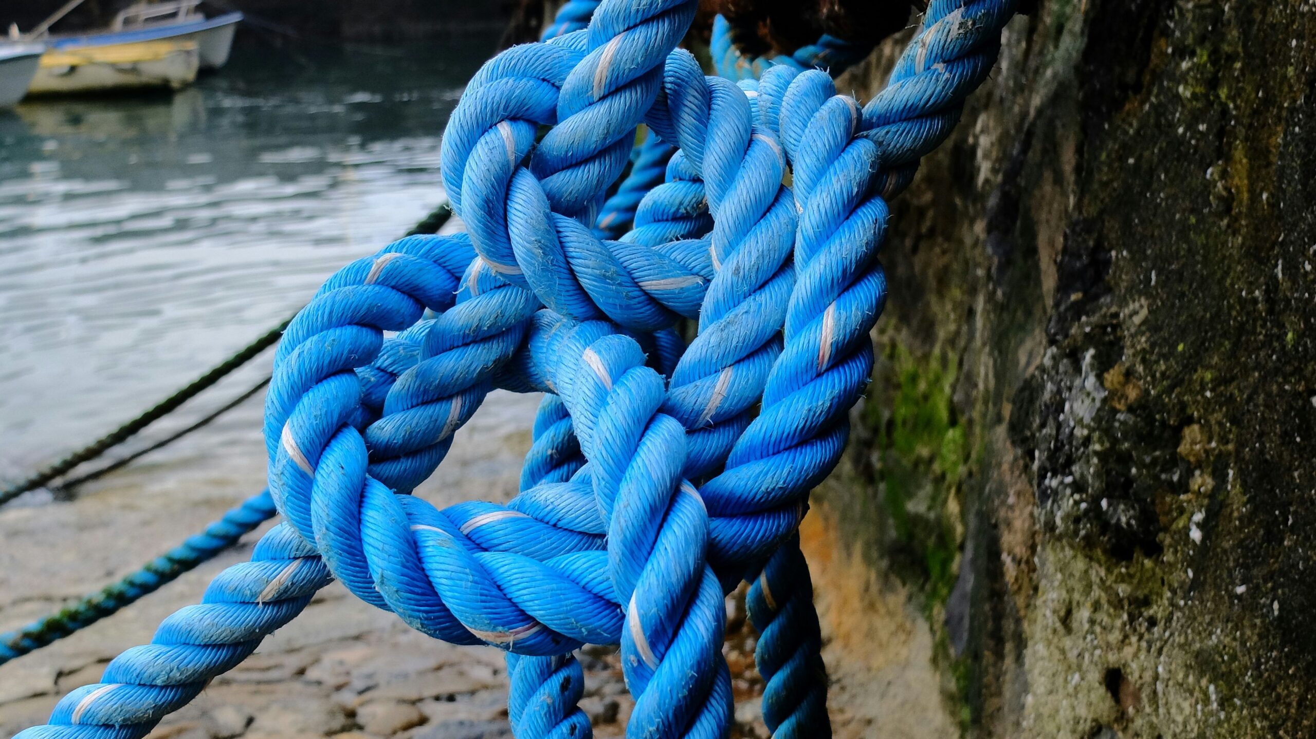 A close-up image showing signs of wear on a climbing rope