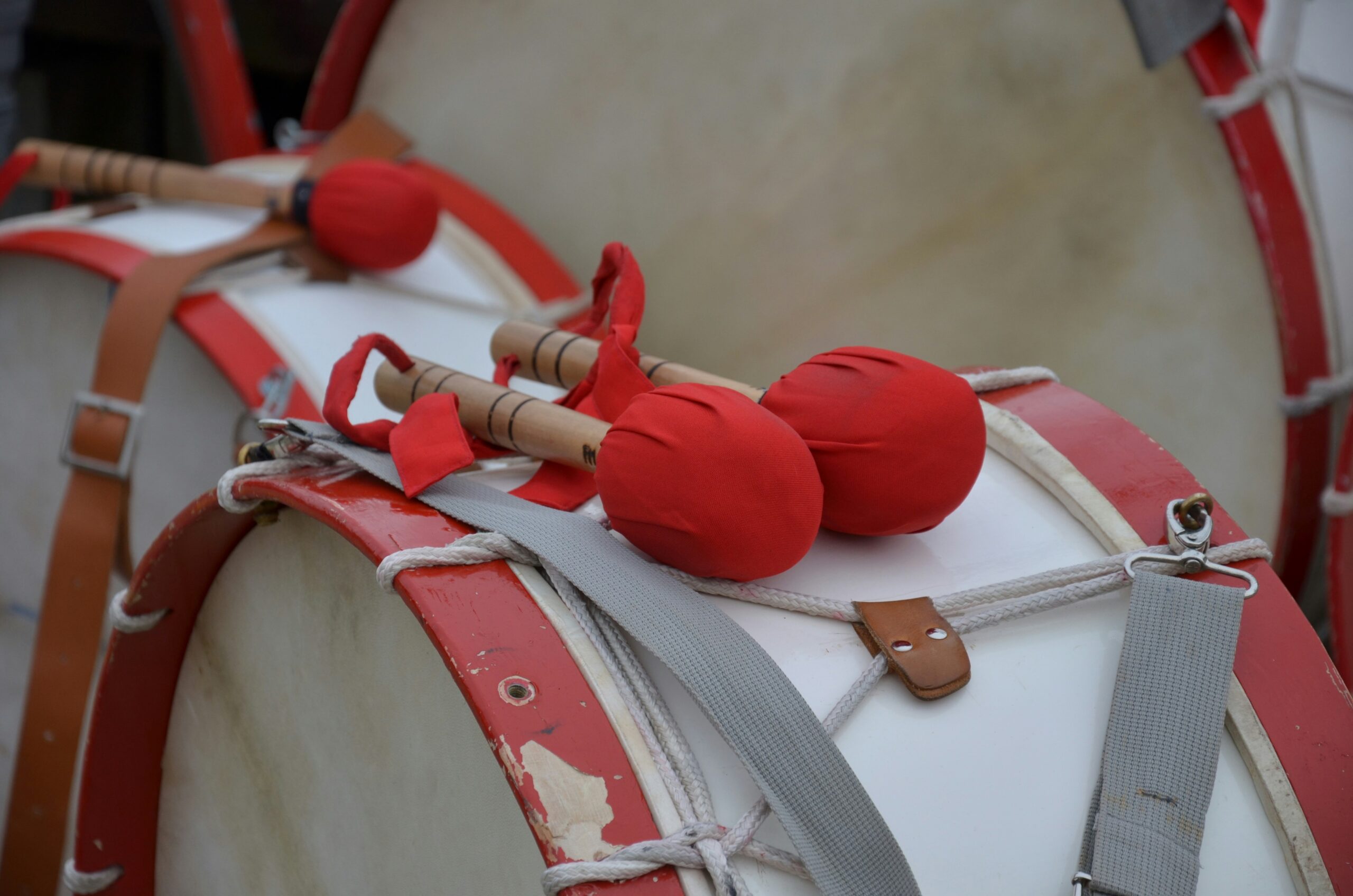 Close-up view of a properly set up climbing belay device attached to a harness
