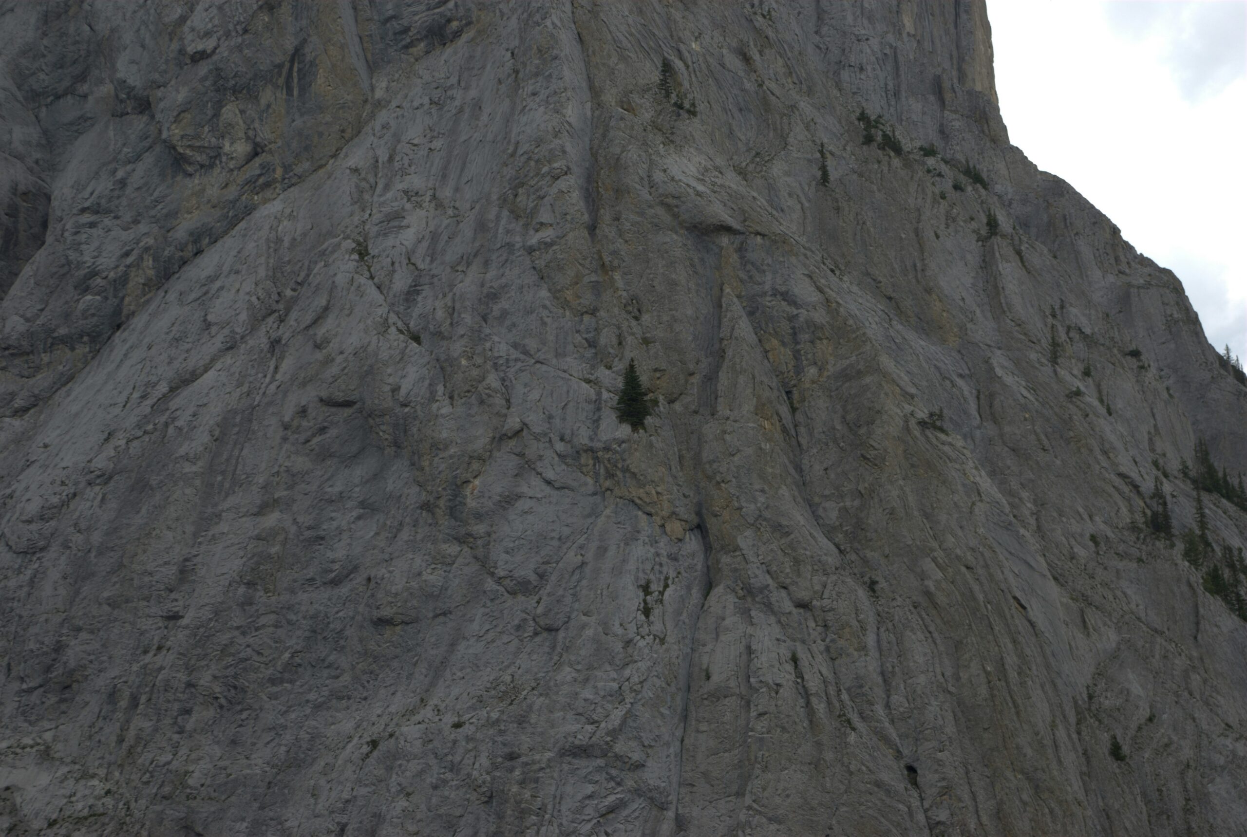 Climber securely belayed using a dynamic rope.