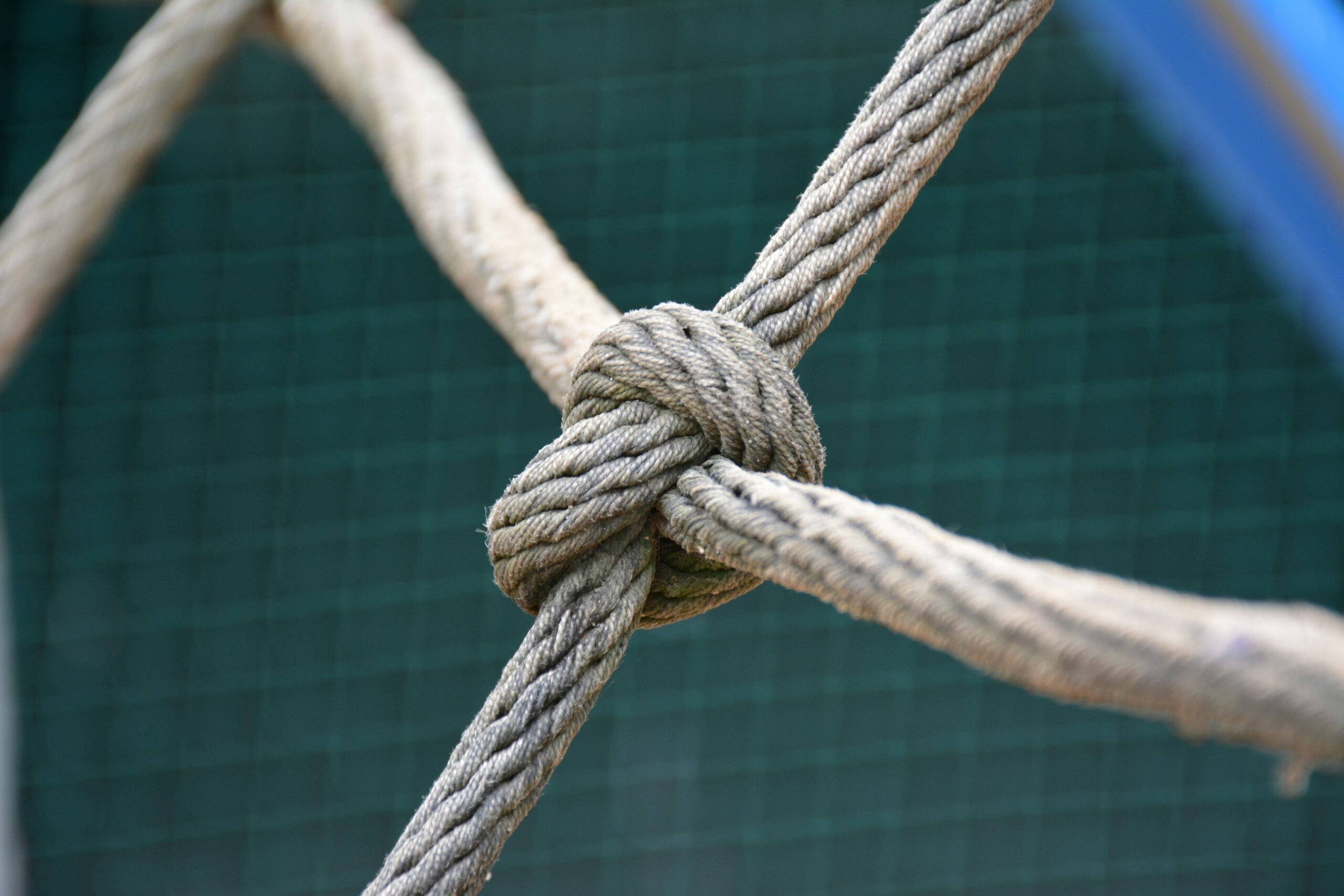 Comparison Chart of Popular Belay Devices