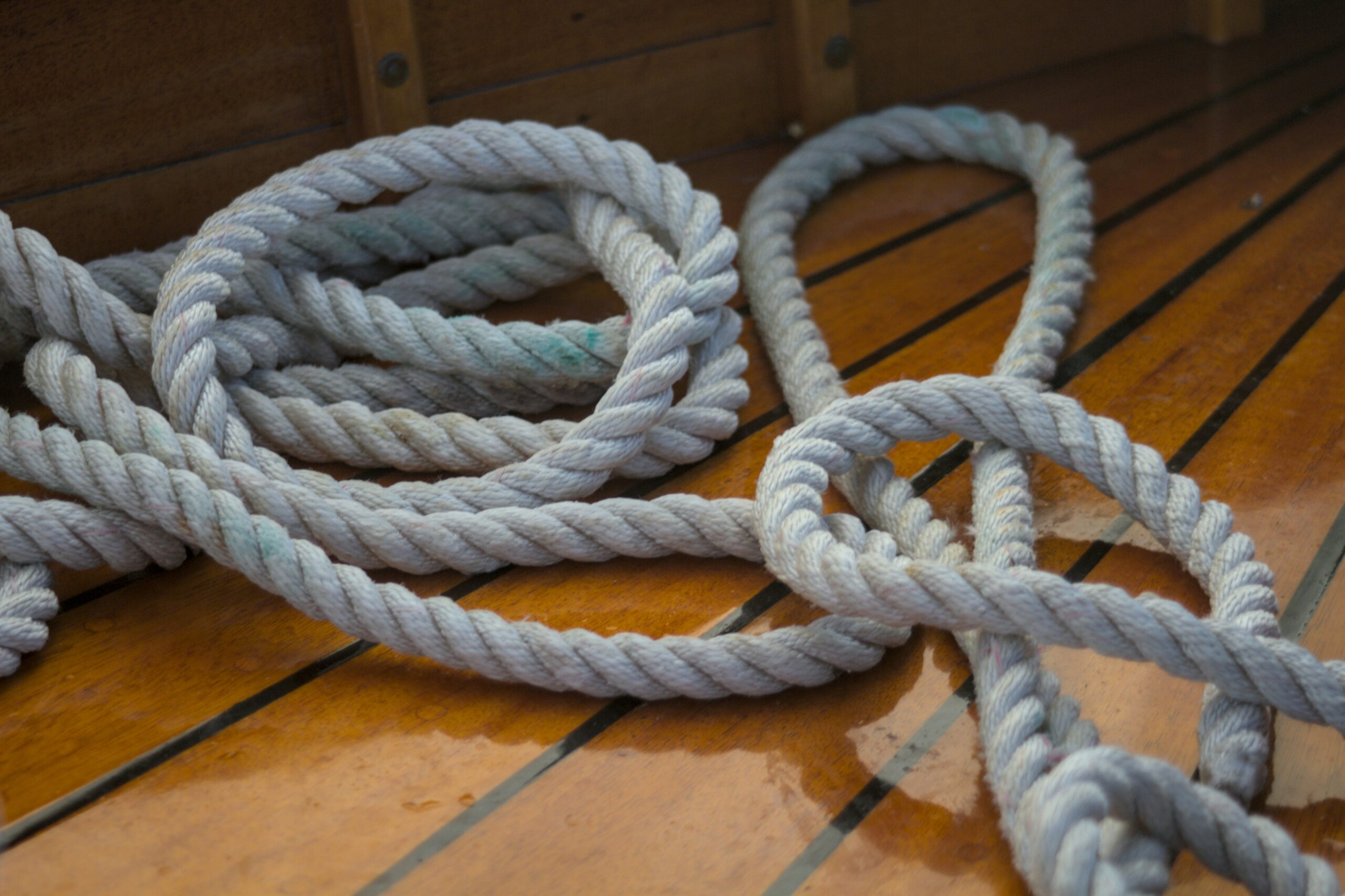 Neatly coiled climbing rope ready for proper storage